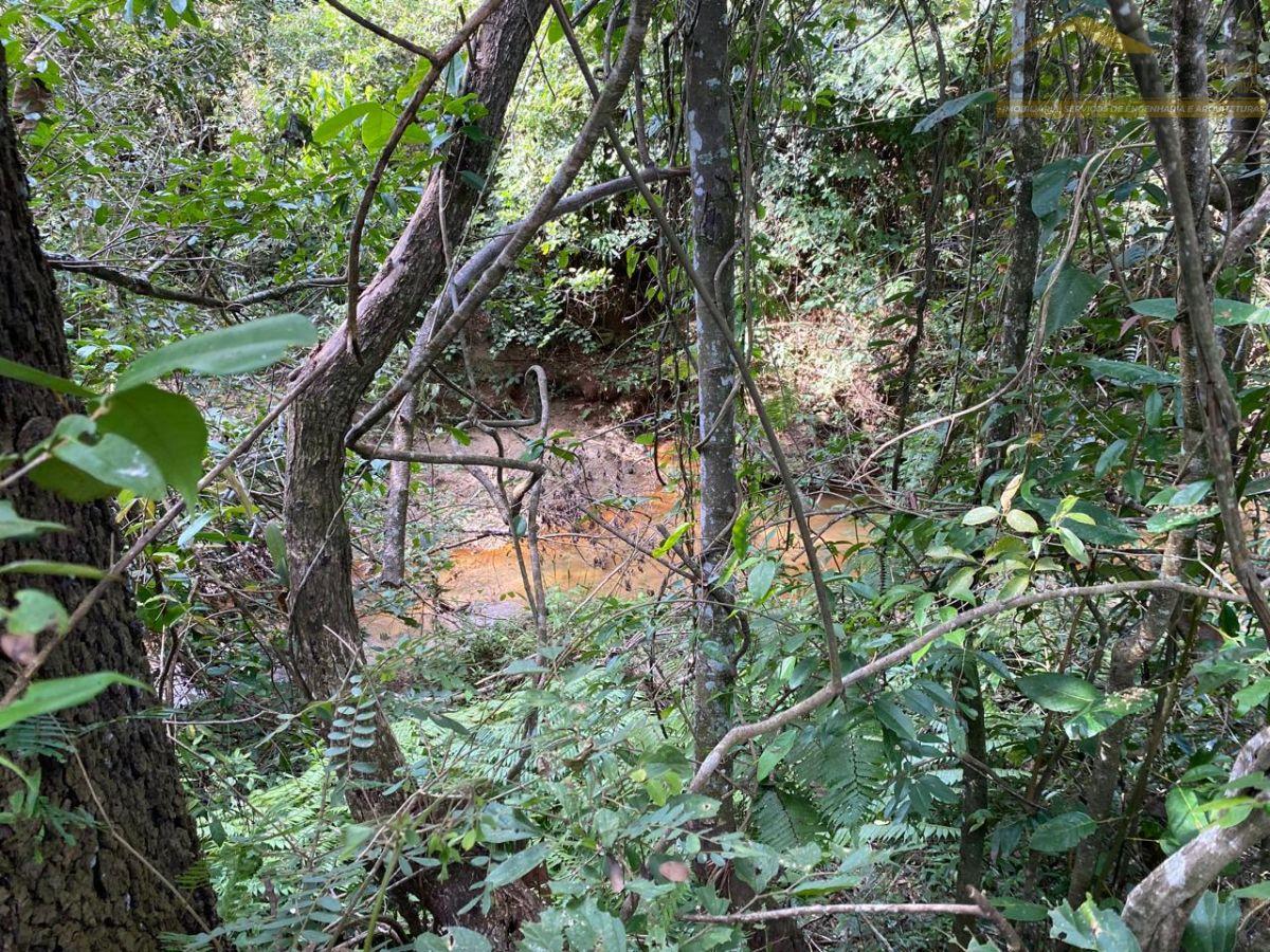 WhatsApp Image 2025-06-11 at 15.41.44 (2).jpeg